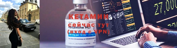 прущие грибы Армянск