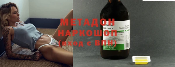 прущие грибы Армянск