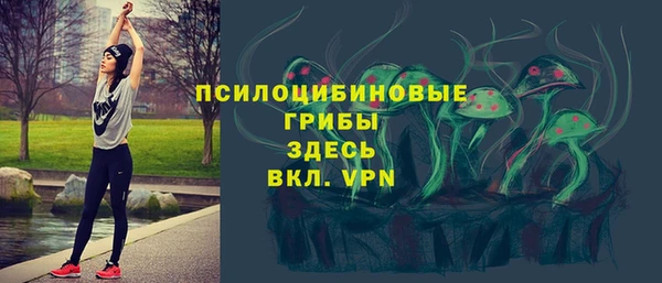 прущая мука Аркадак