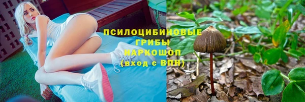 прущая мука Аркадак