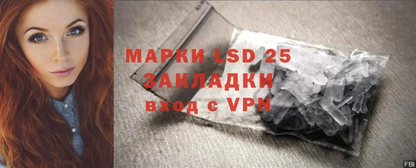 прущие грибы Армянск